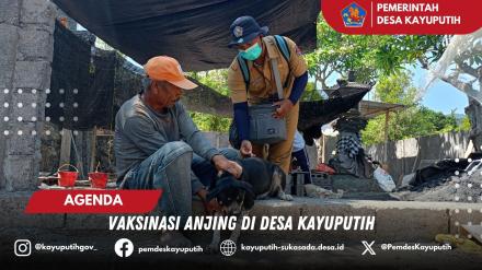 VAKSINASI ANJING DI BANJAR DINAS KAYUPUTIH
